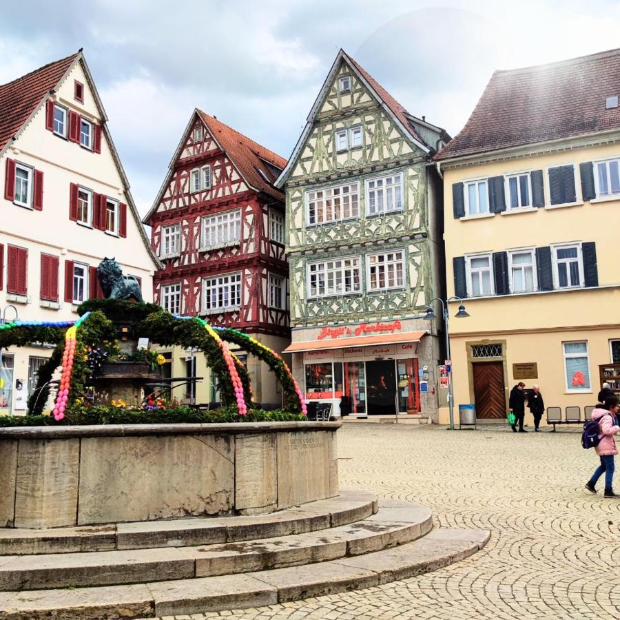 Appartamento Im Herzen Der Altstadt Vaihingen an der Enz Esterno foto